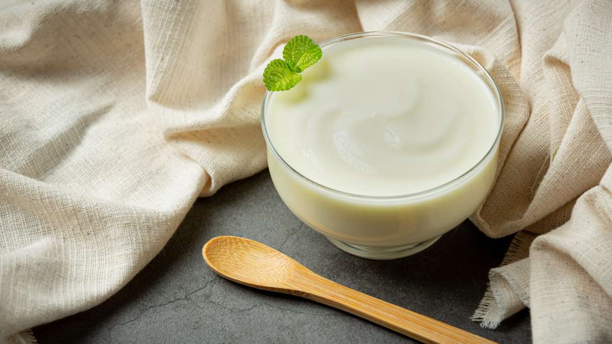 benefits of curd